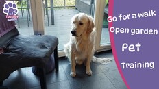 General / Cinematic | Reveal Trailer