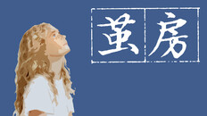 General / Cinematic | 茧房Echo