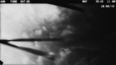 Teaser | Canary - Teaser