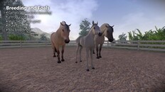 Gameplay | Astride Patch Highlights 0.4.0.14