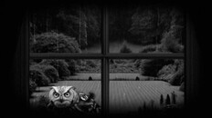 General / Cinematic | Reveal Trailer