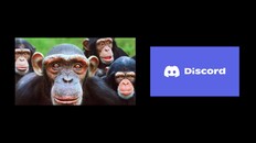 Gameplay | TikTokMultiplayer