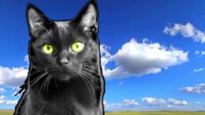 General / Cinematic | Cinematic trailer