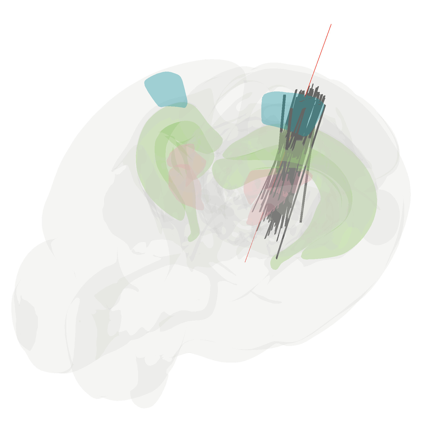 Urchin screenshot 4