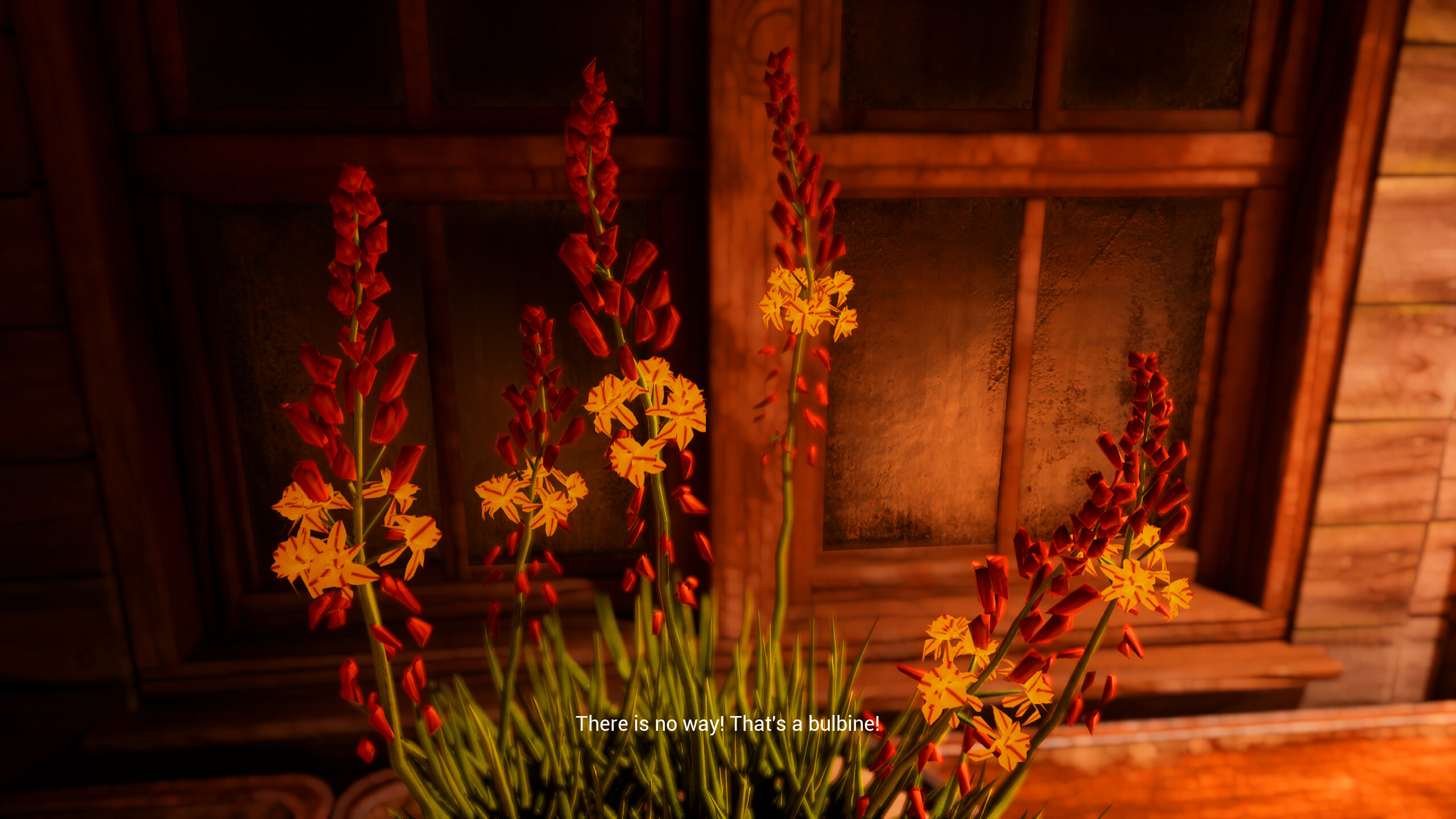 My Dear Emma screenshot 2