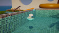 Screenshot #5