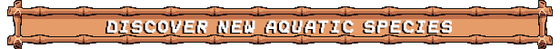 Tiny Aquarium: Social Fishkeeping