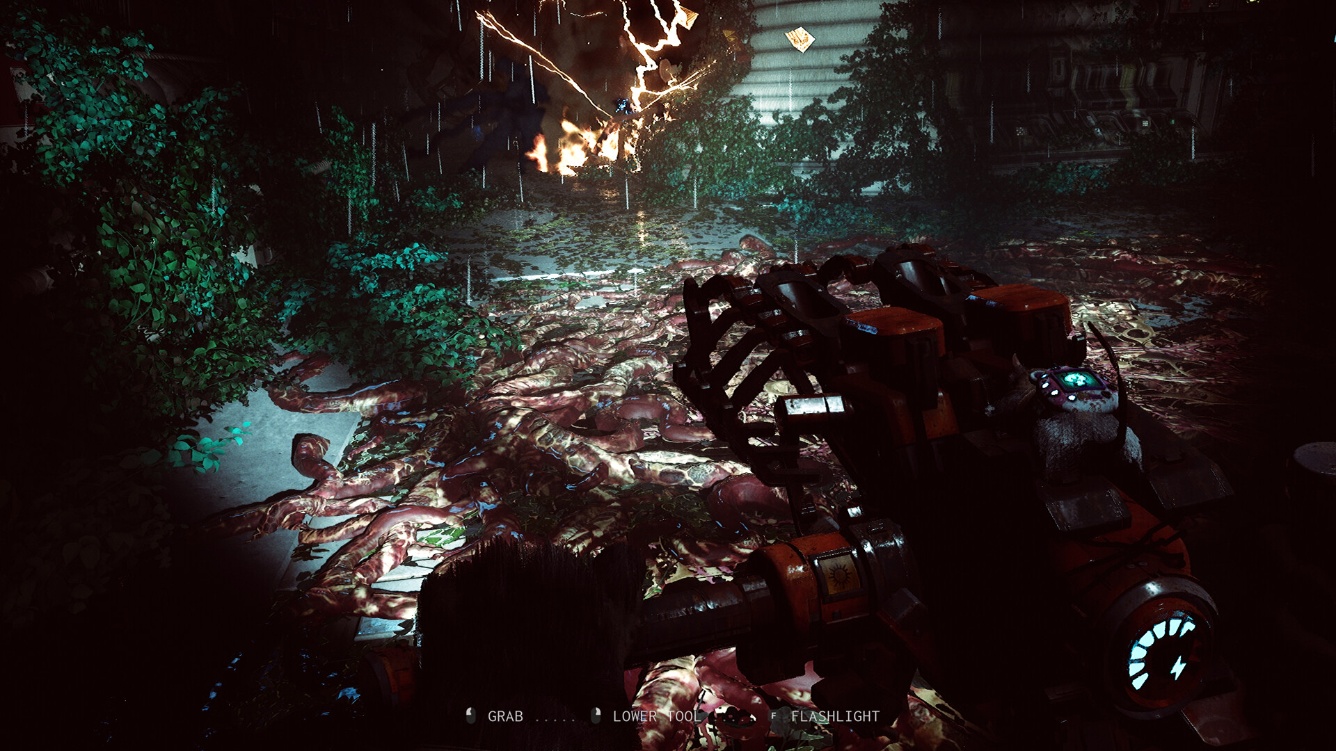 ANIMAL USE PROTOCOL screenshot 2
