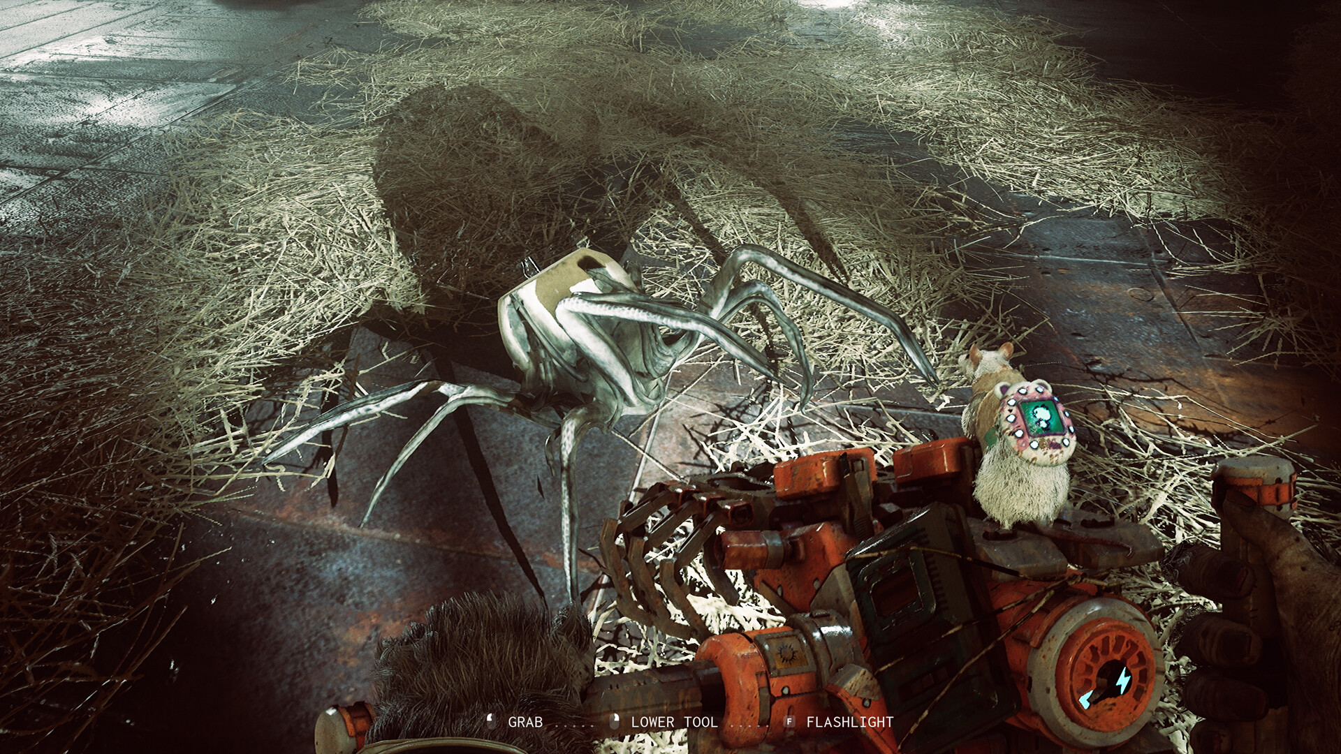 ANIMAL USE PROTOCOL screenshot 3