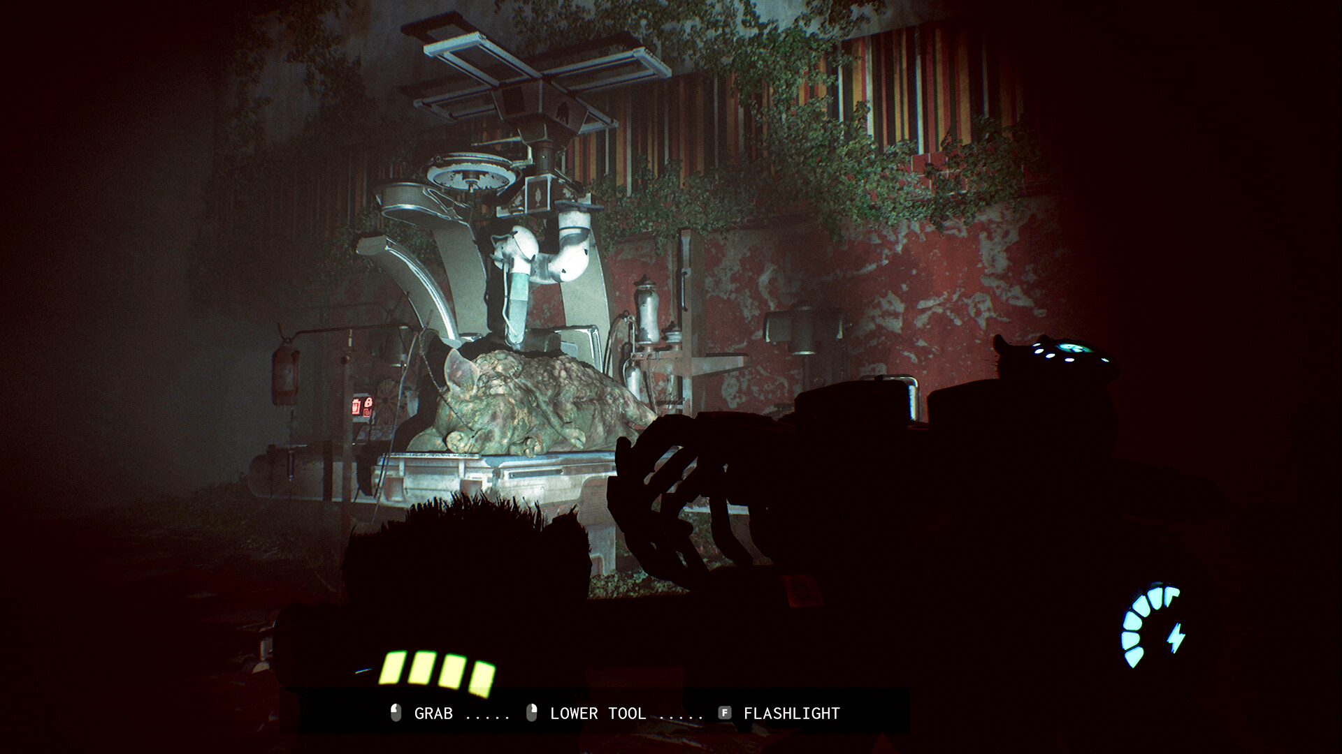 ANIMAL USE PROTOCOL screenshot 5