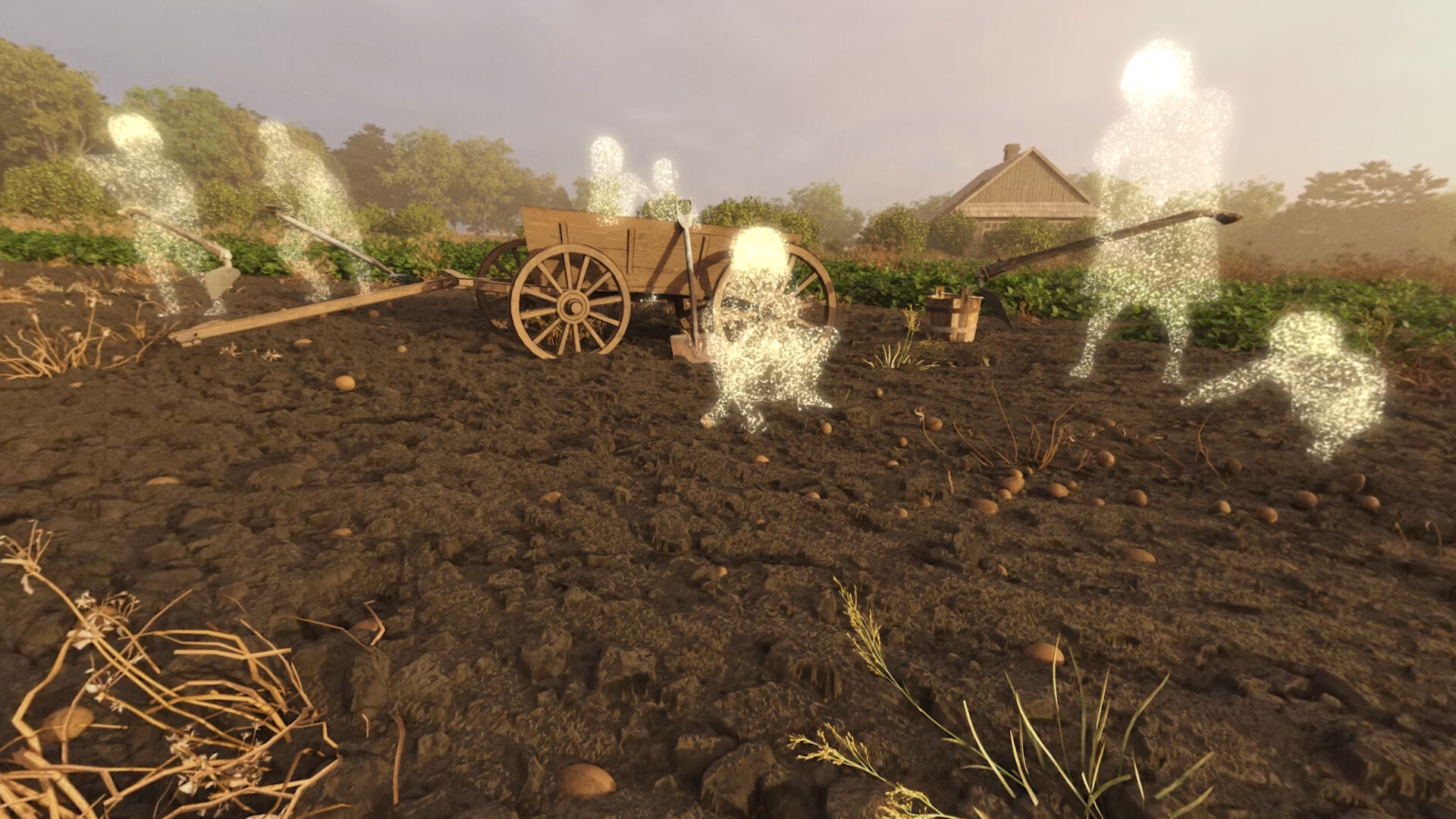 Świadectwo poMOCY screenshot 8
