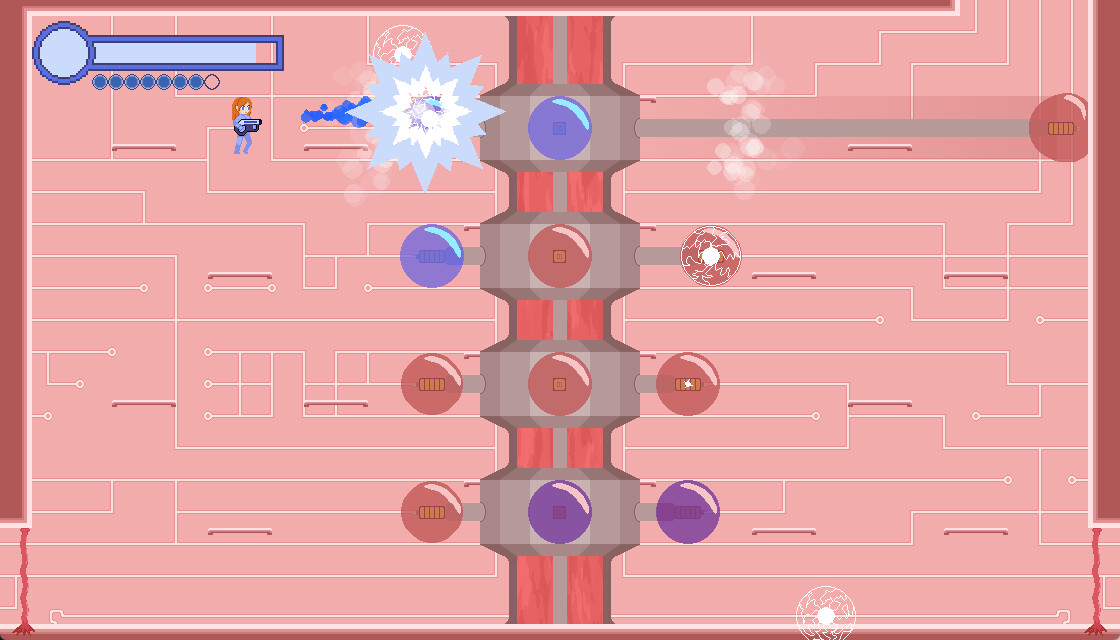 Soakraiva screenshot 3