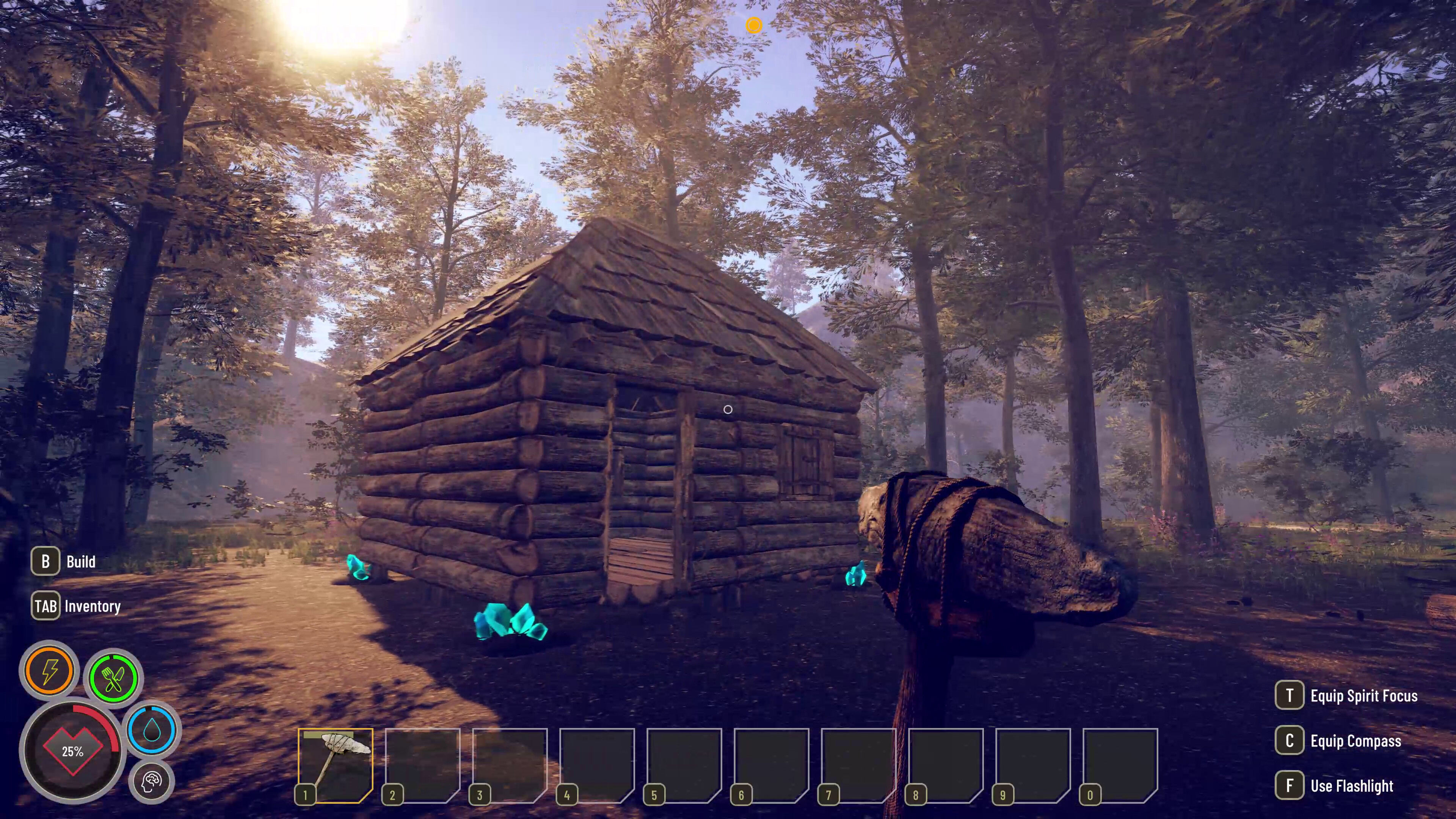 Solitude screenshot 5
