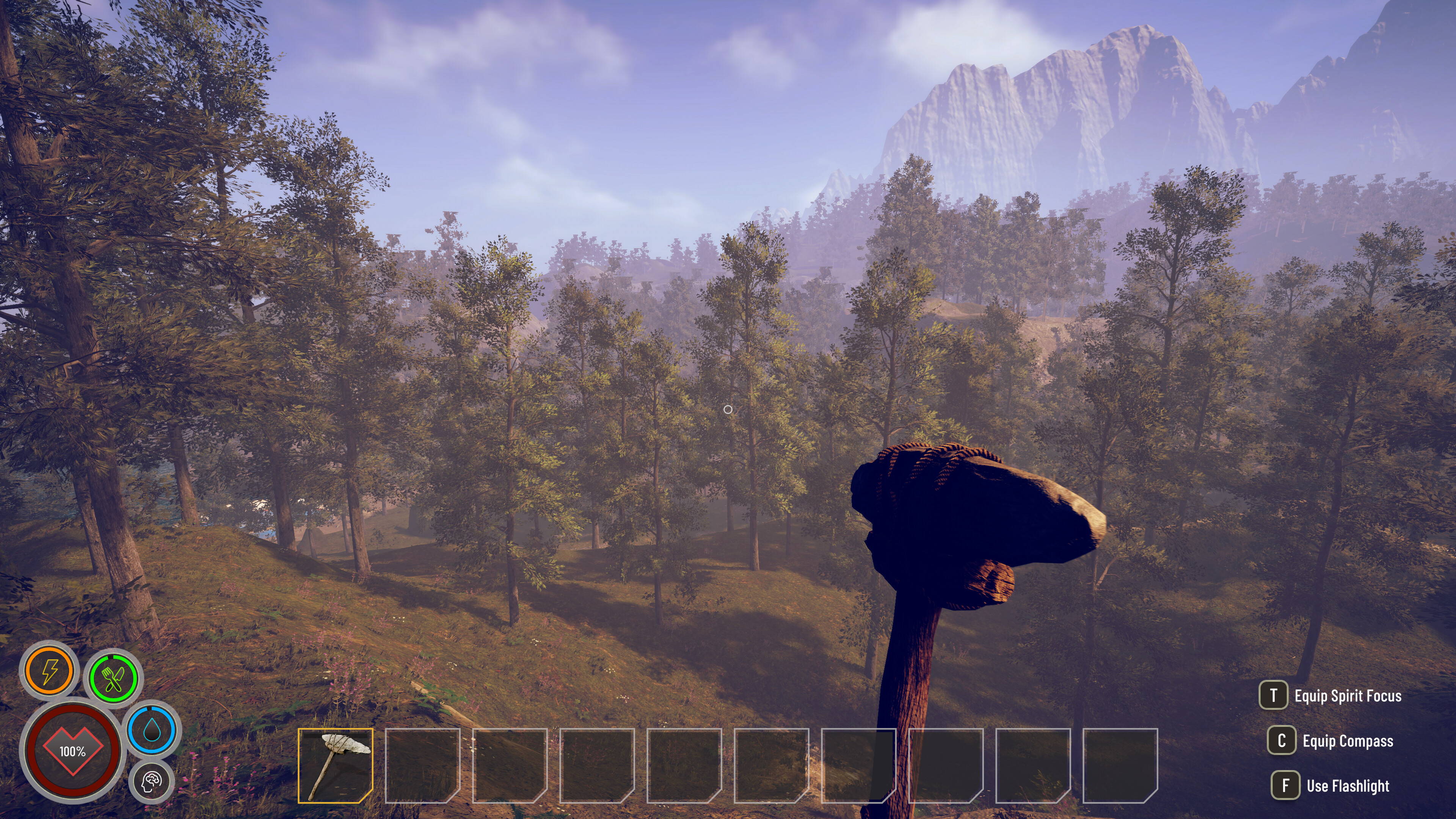 Solitude screenshot 3