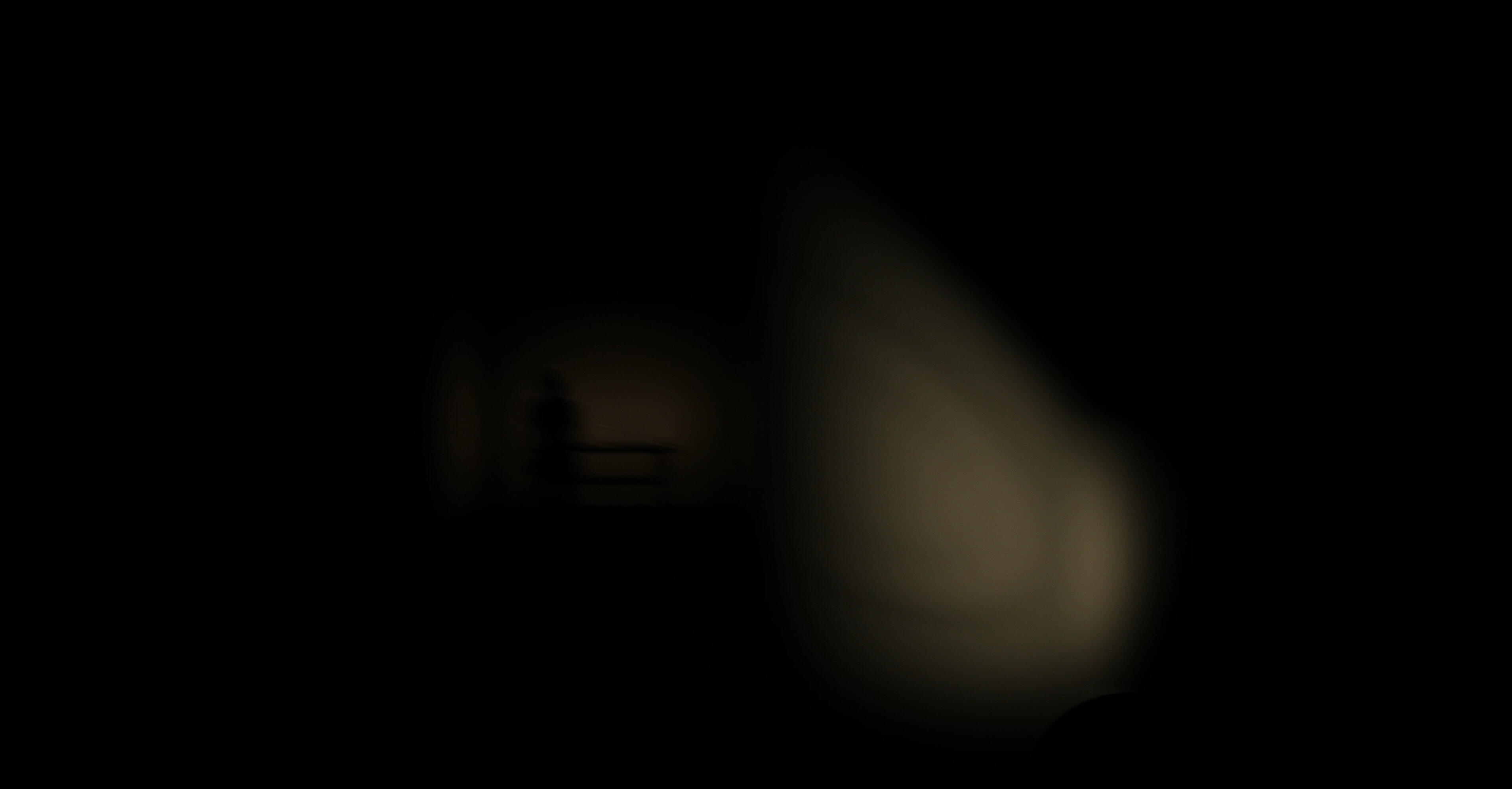Parasomnum screenshot 11
