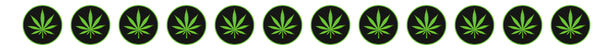 BORDER_png.png