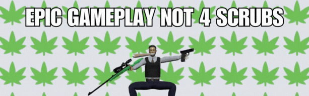 GAMEPLAYBLUNT.gif