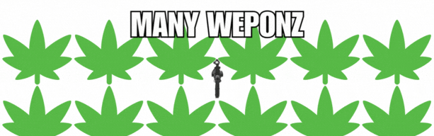 WEPONZ.gif
