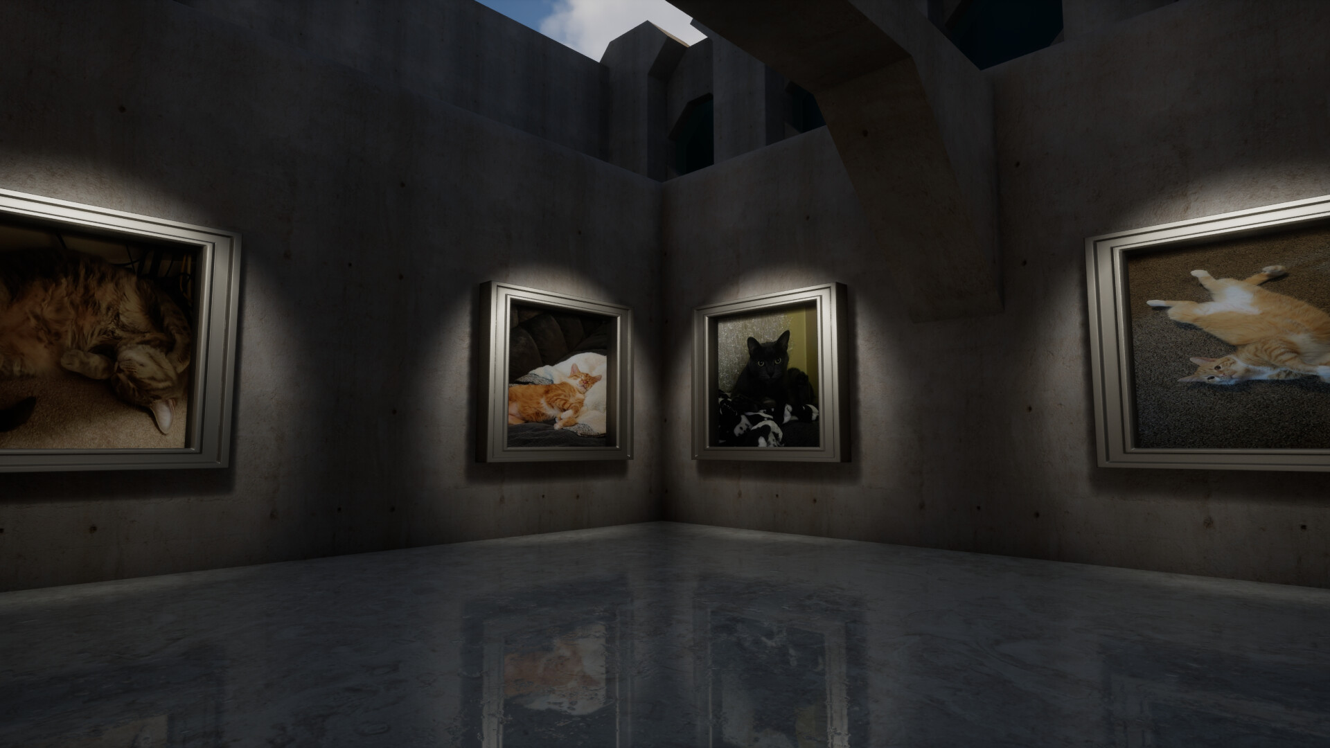 Aim Trainer (With Cats) screenshot 2