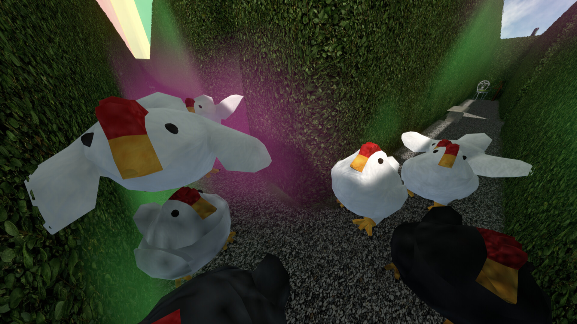 Chasing Chickens screenshot 11