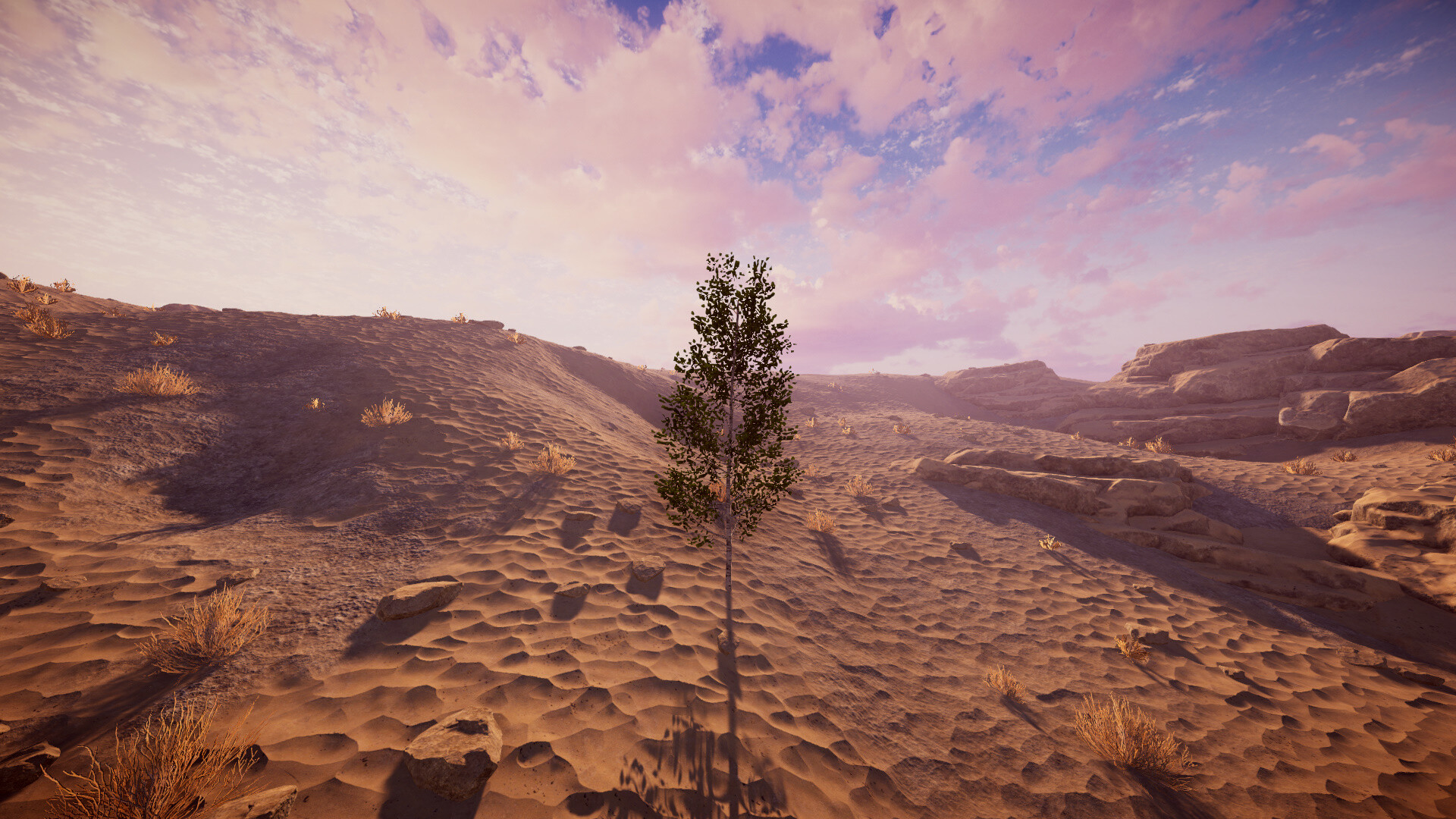 Birch Simulator screenshot 16