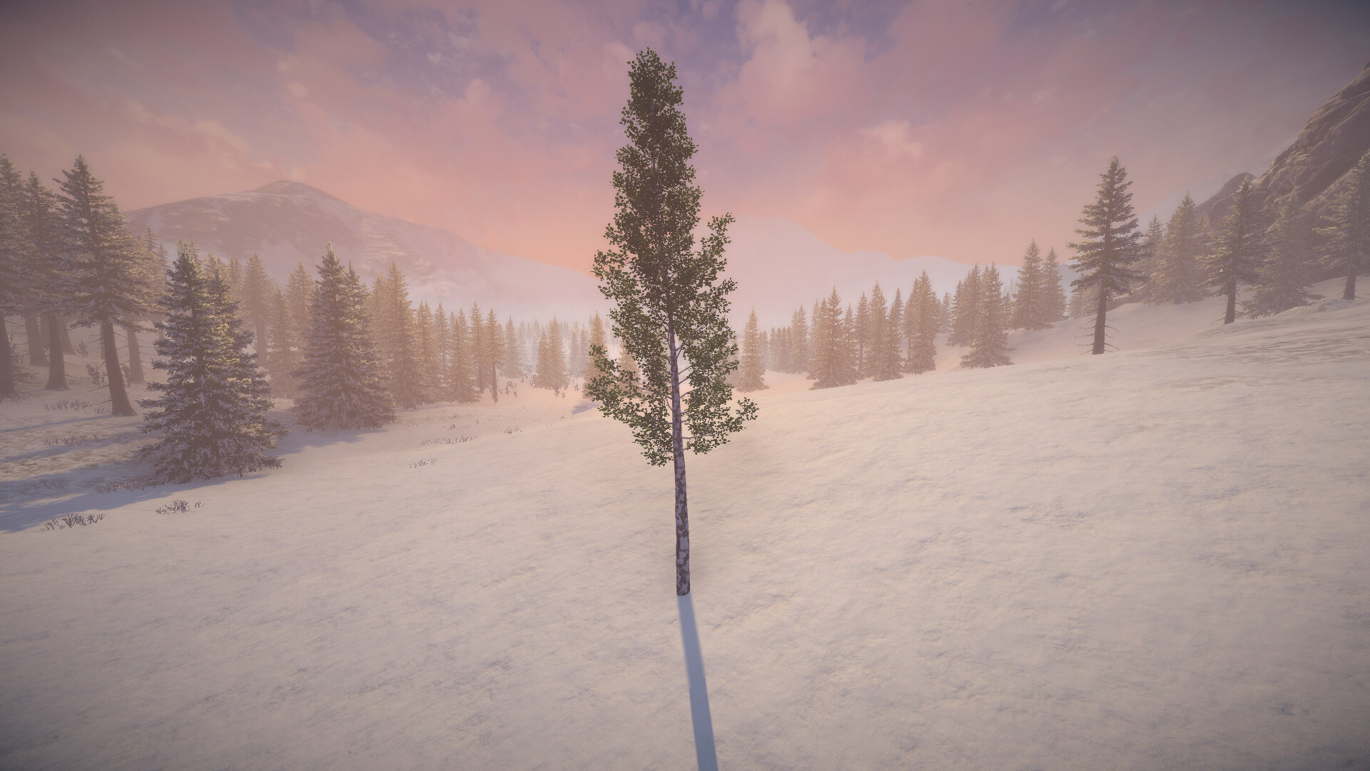 Birch Simulator screenshot 5