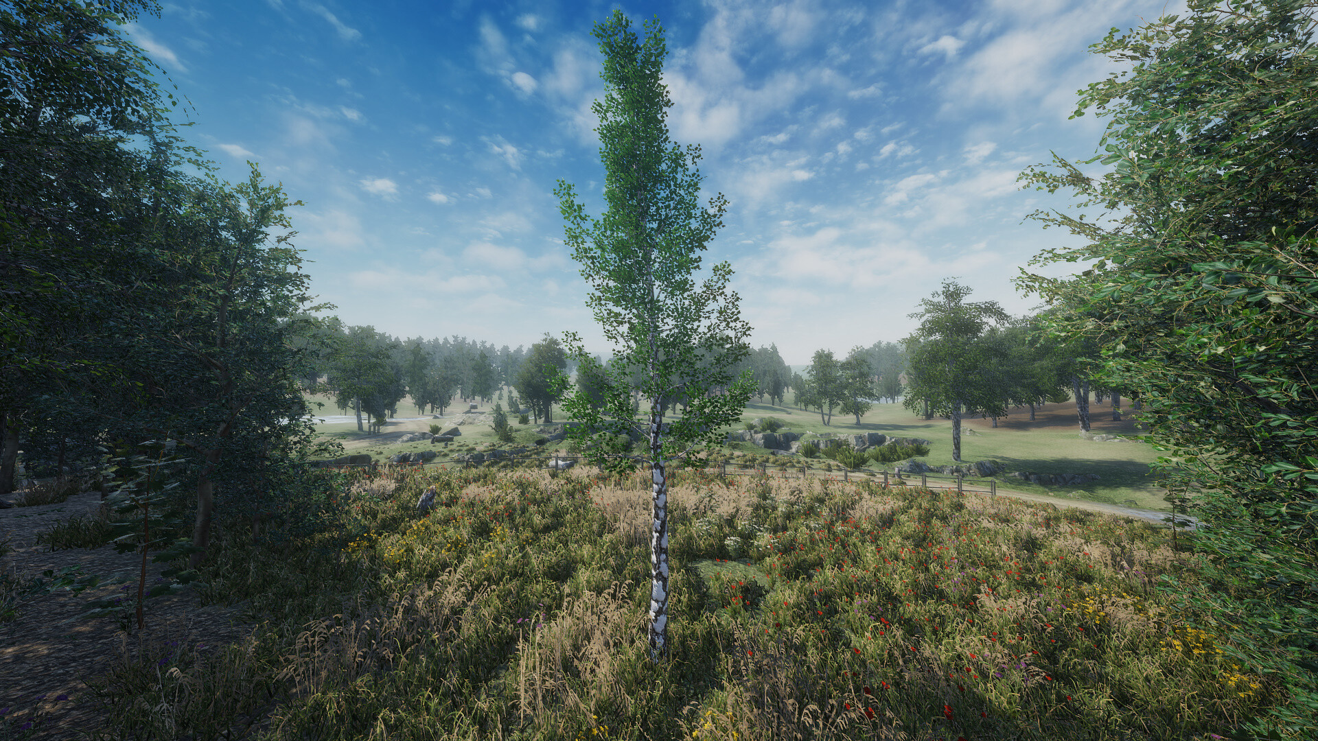 Birch Simulator screenshot 7