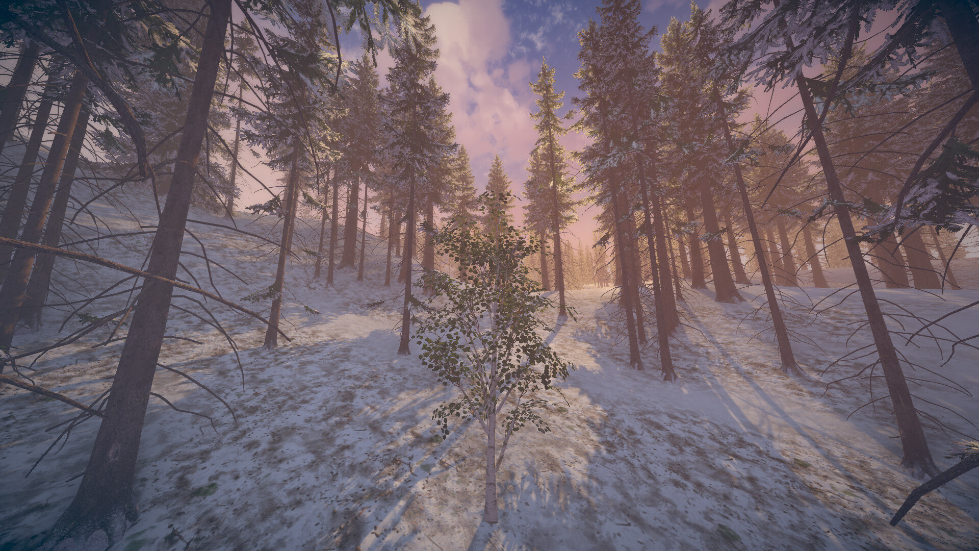 Birch Simulator screenshot 13
