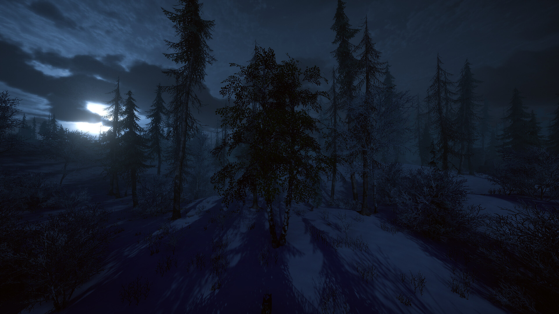 Birch Simulator screenshot 9