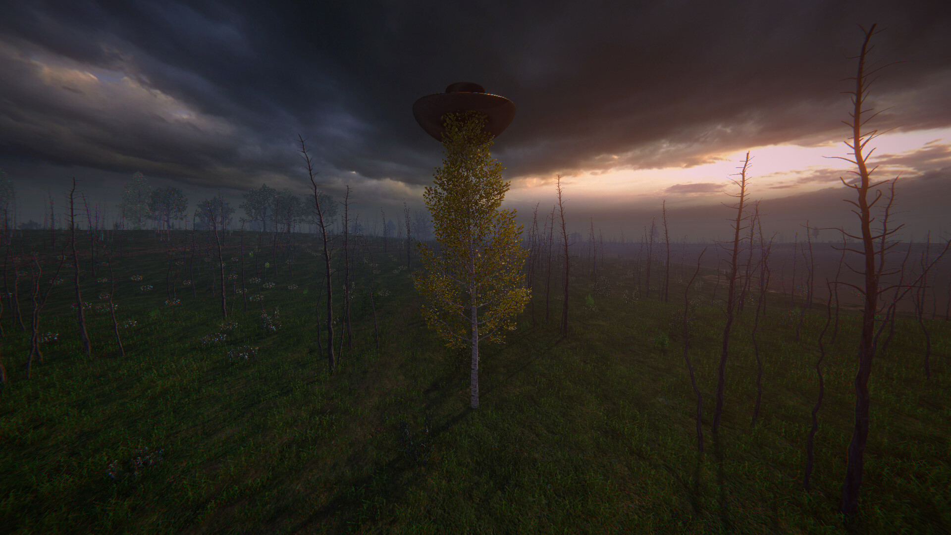 Birch Simulator screenshot 10