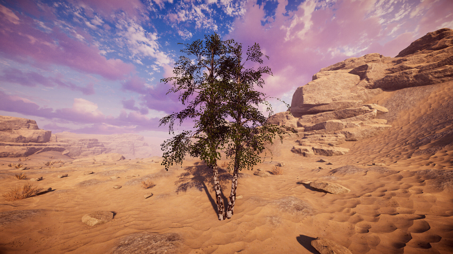 Birch Simulator screenshot 15