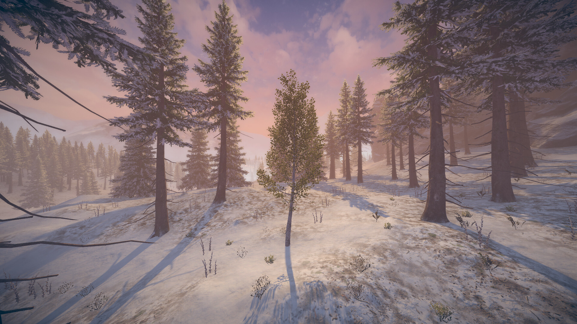 Birch Simulator screenshot 12