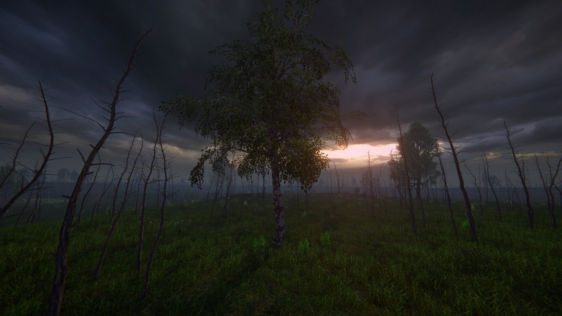 Birch Simulator screenshot 17