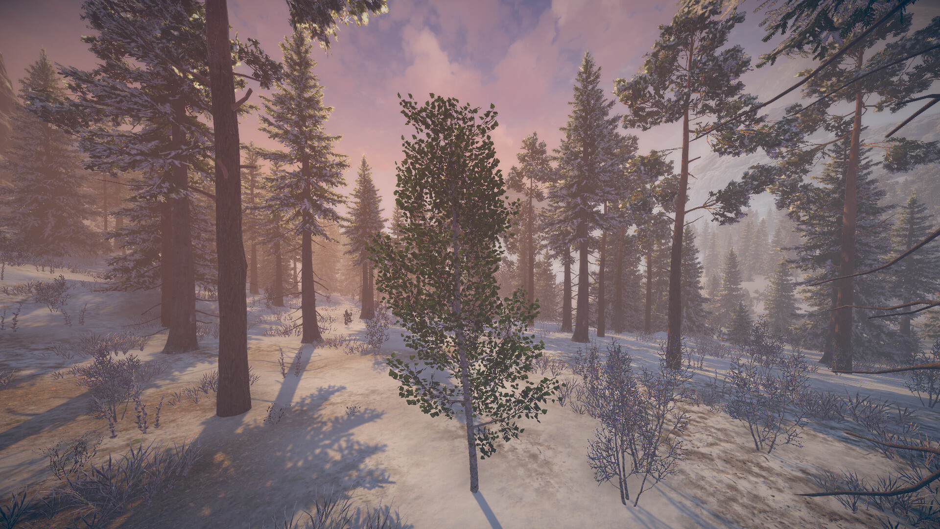 Birch Simulator screenshot 4
