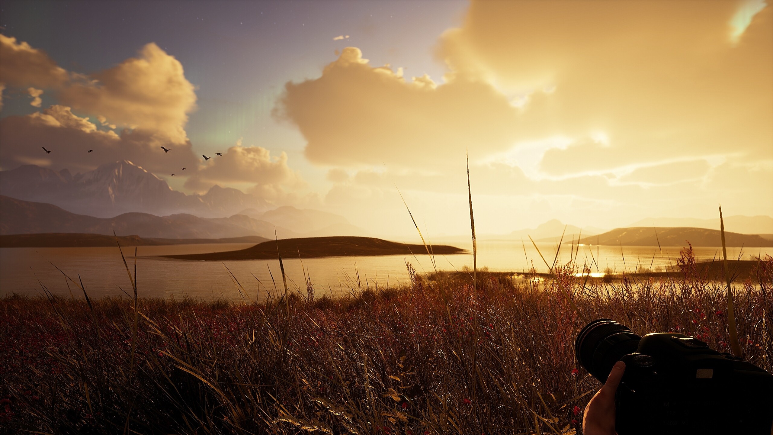 Photography Simulator Wildlife Prologue screenshot 4
