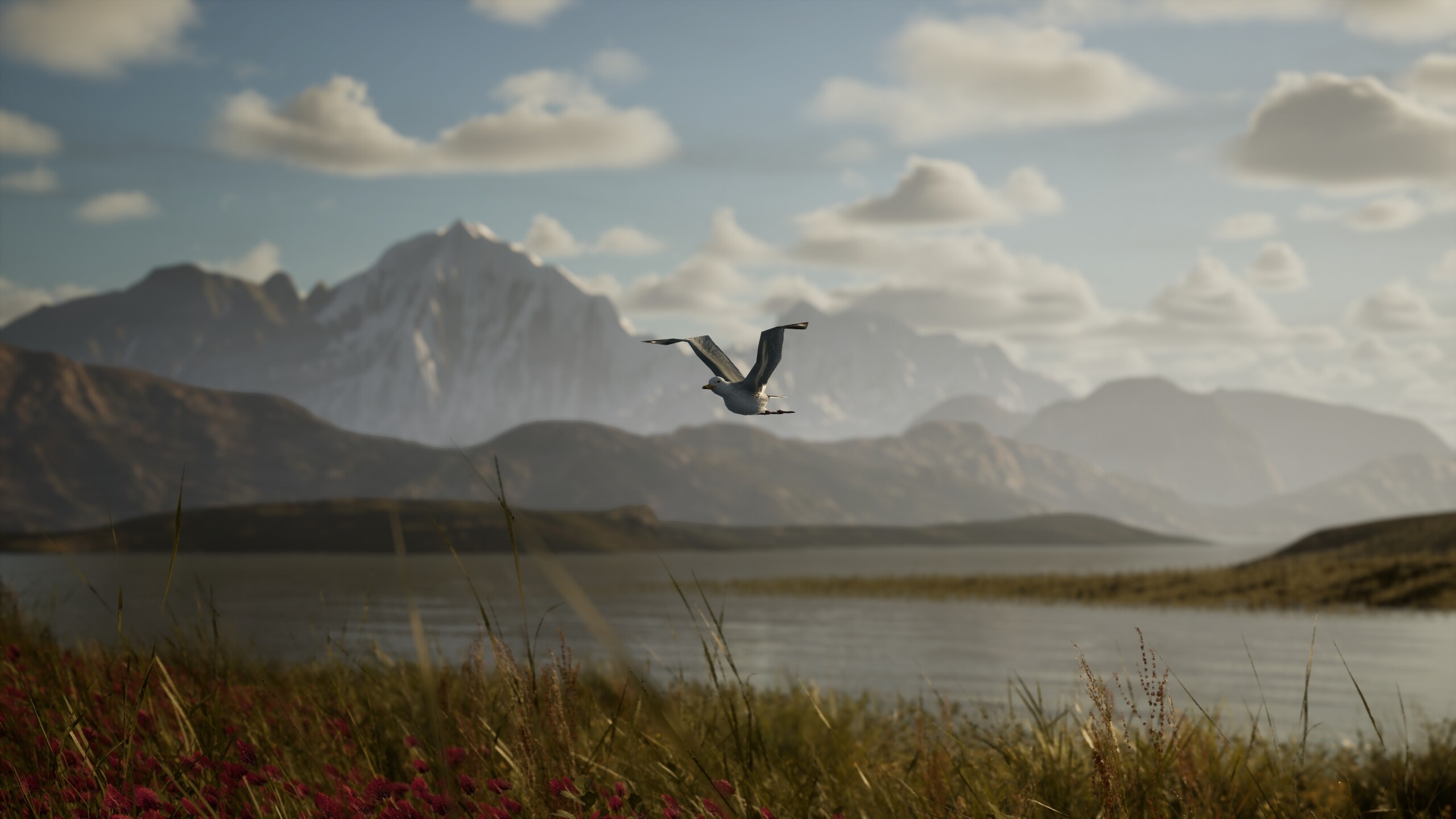 Photography Simulator Wildlife Prologue screenshot 5