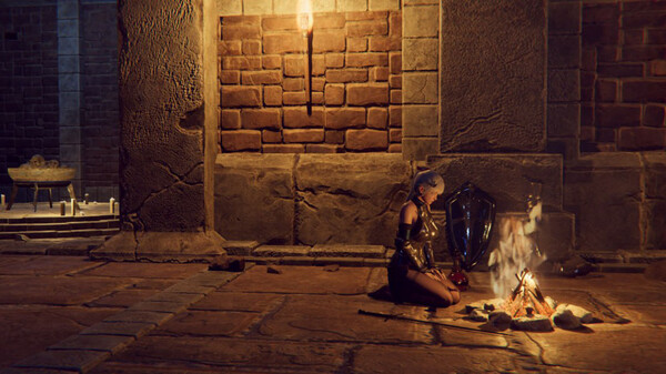 【ACT/3D】地下城女骑士STEAM官中版【PC