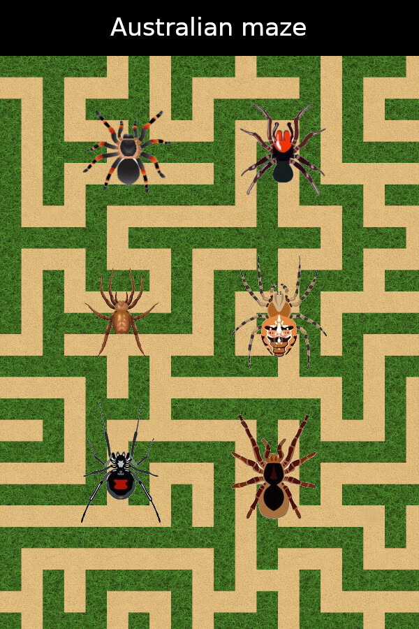 Australian maze