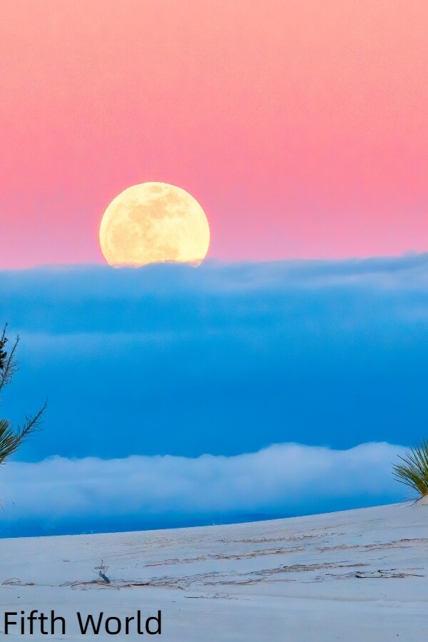 f1d3c821-eb0f-ab7c-a709-c7dcfc5454d9