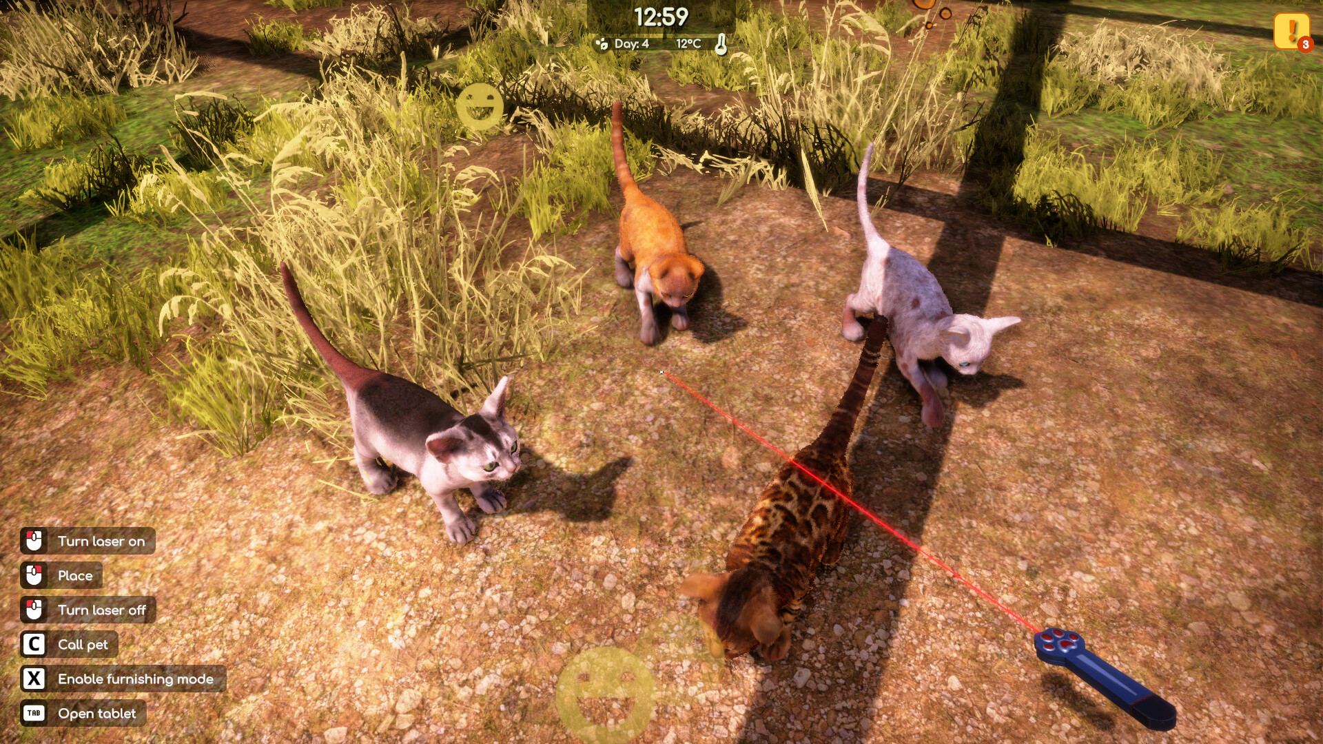 Animal Shelter 2 5