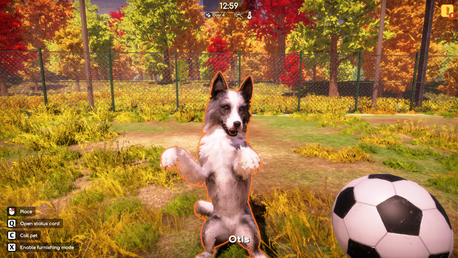 Animal Shelter 2 — изображение 7