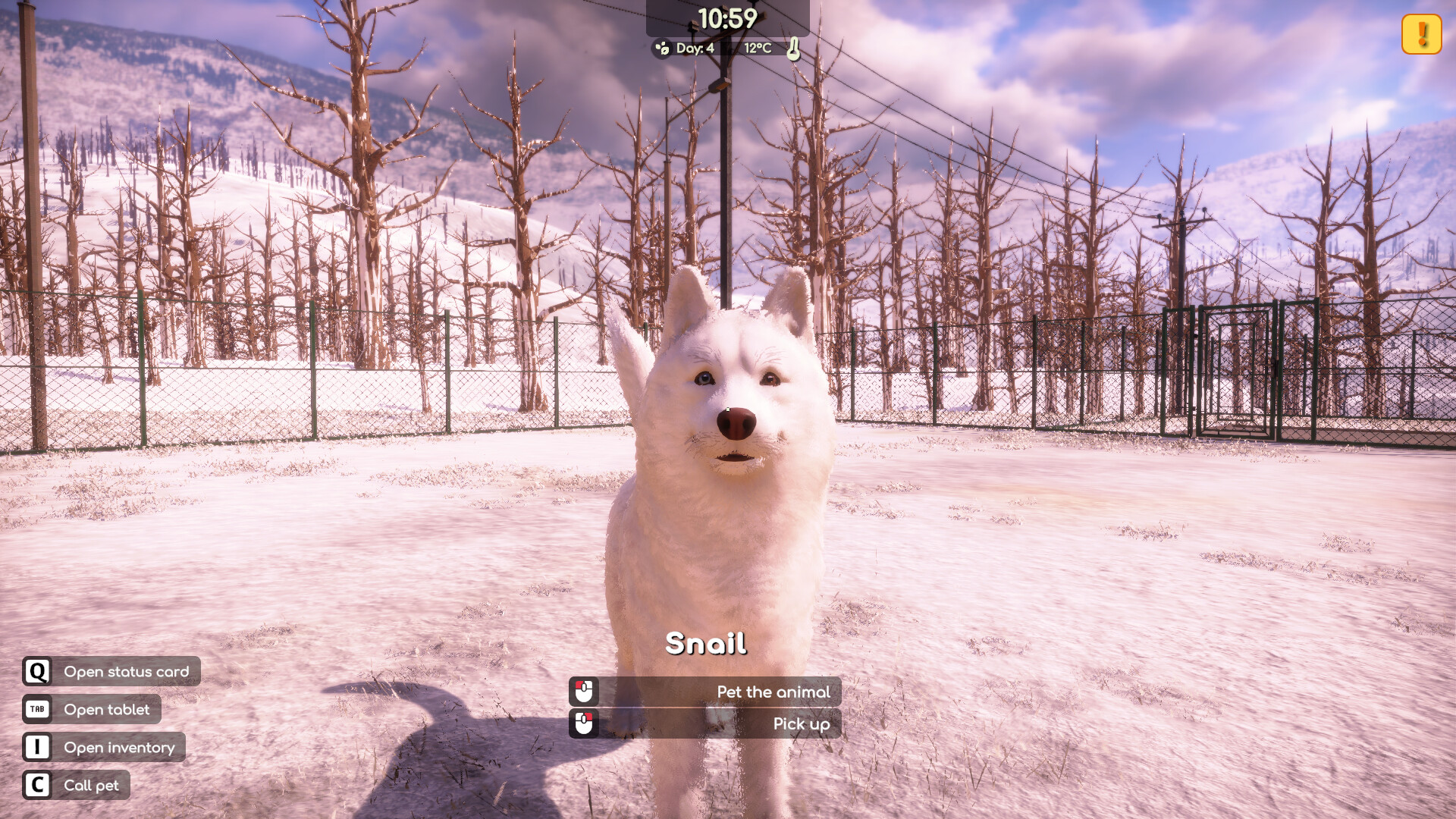 动物收容所2/Animal Shelter 2 截图 16