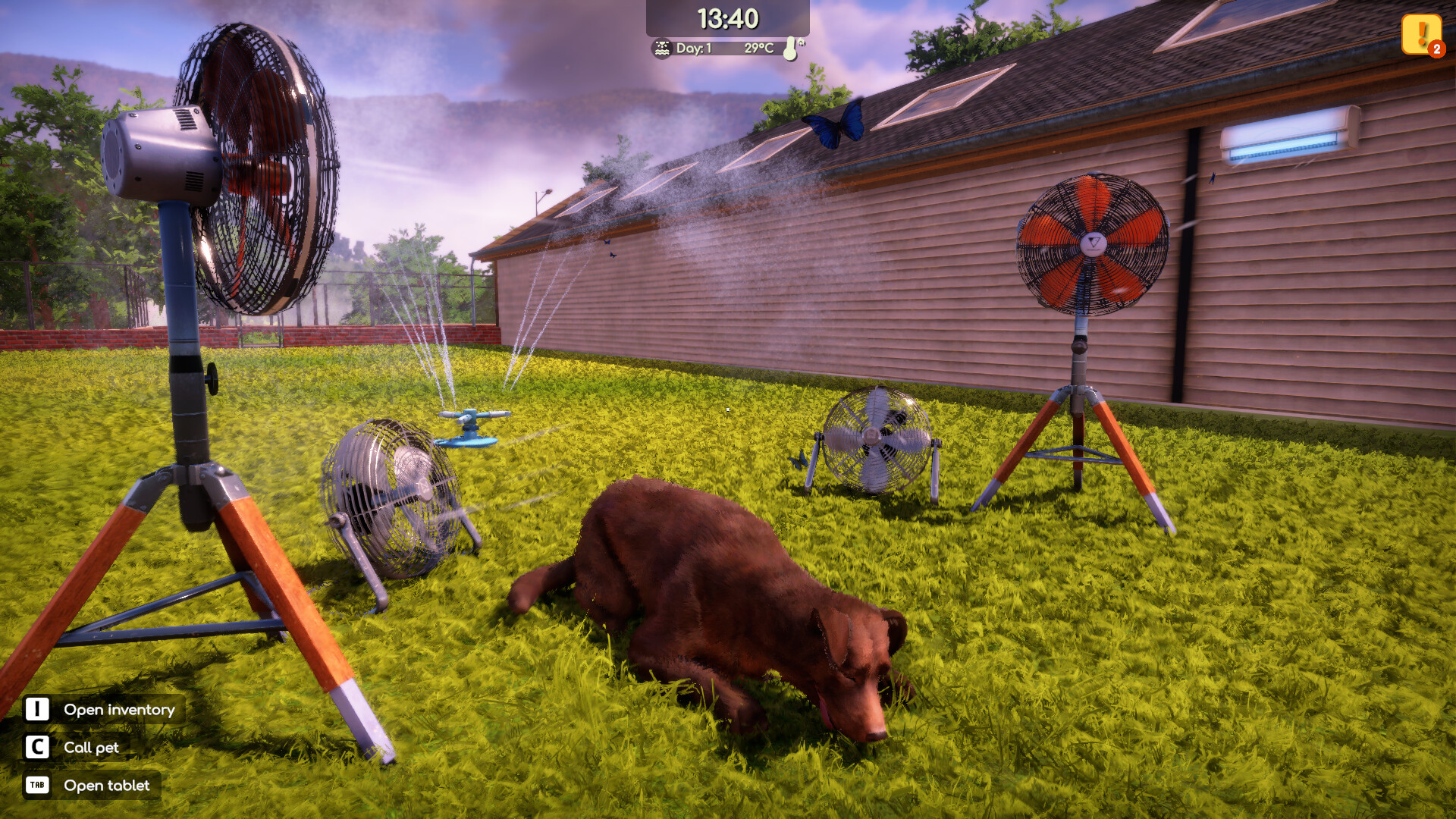 Animal Shelter 2 — изображение 18