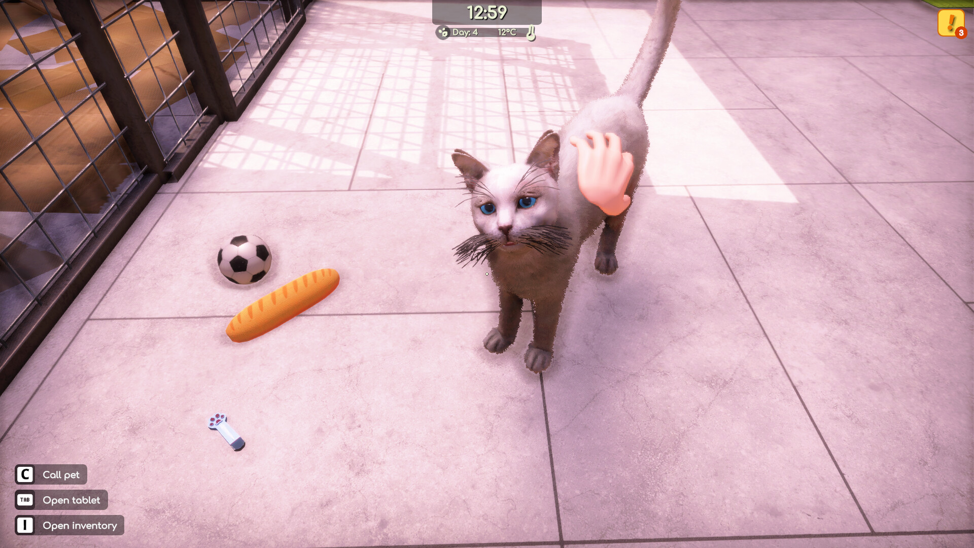Animal Shelter 2 — изображение 2