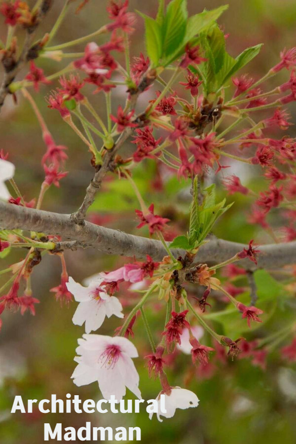 0a836181-4f17-933a-b9fb-8efa00617f4d