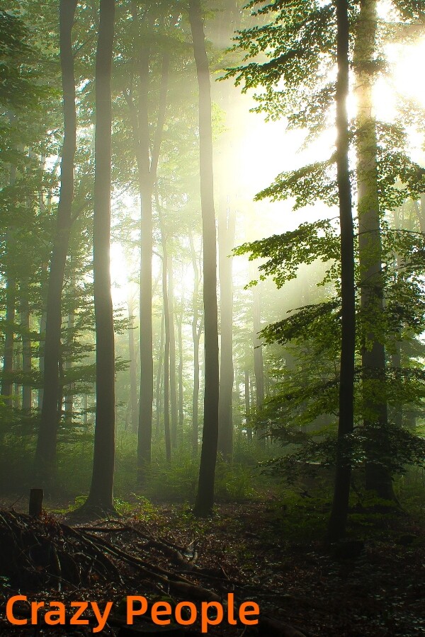 d1eefe1b-1d44-26b8-1508-24fdff687f4c