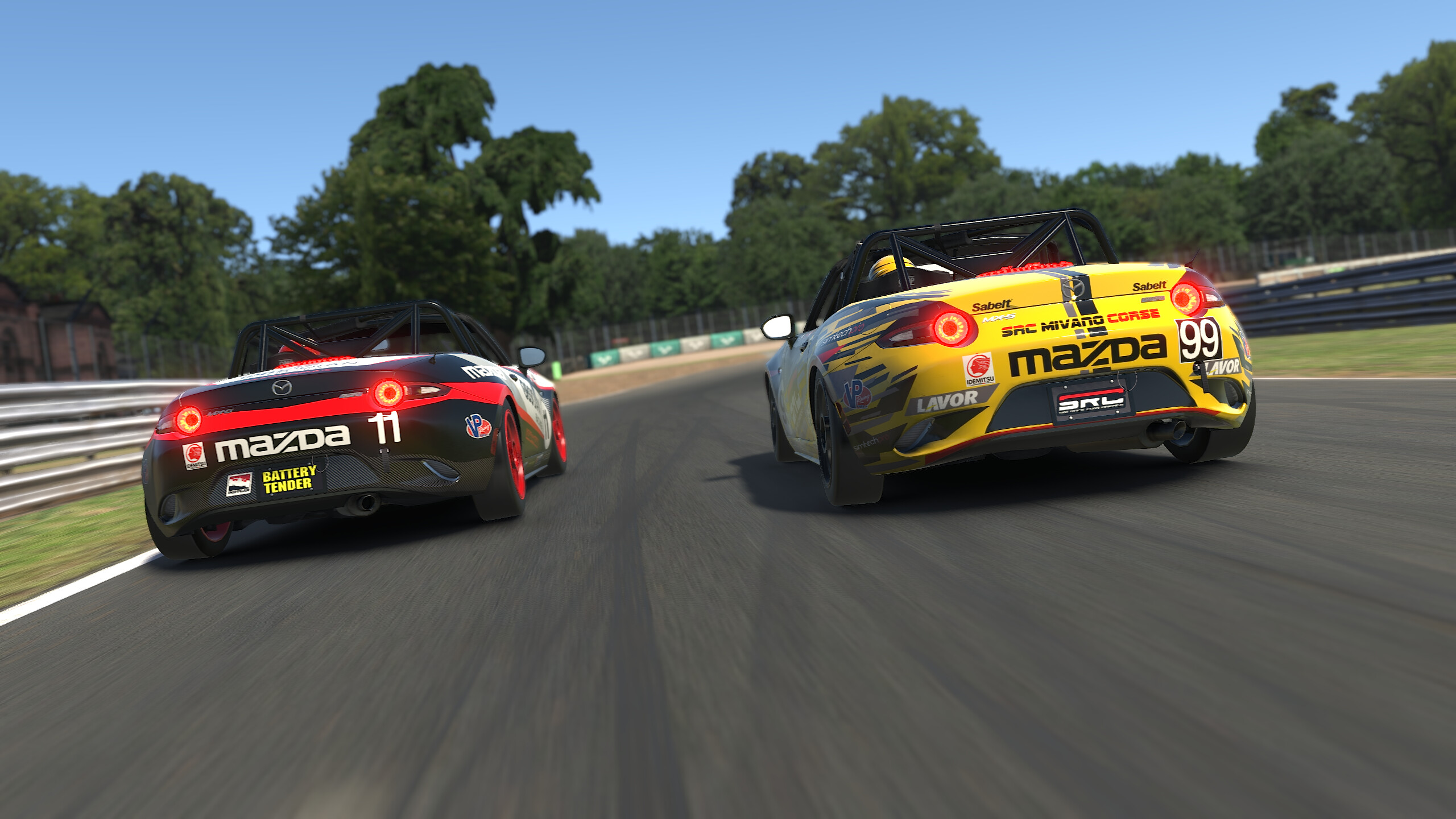 iRacing screenshot 10