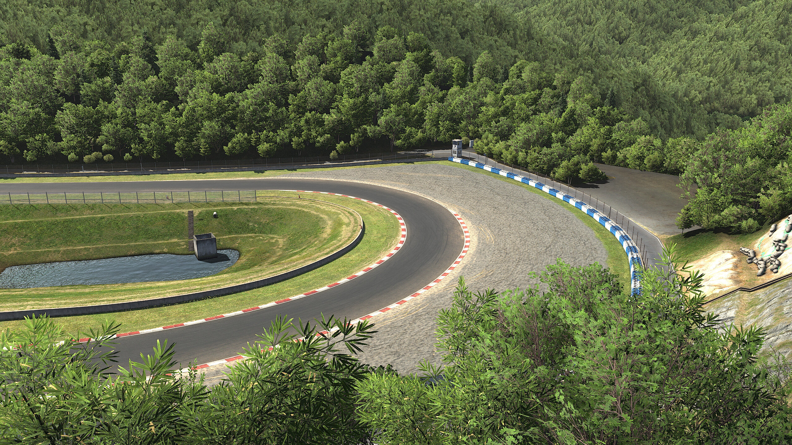 iRacing screenshot 17