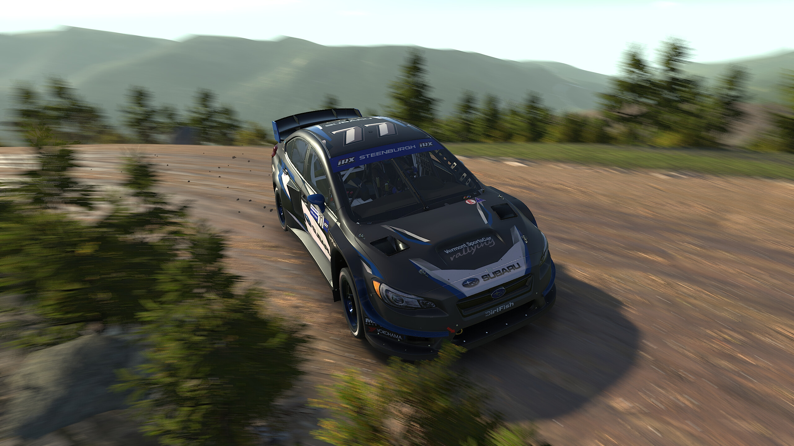 iRacing screenshot 19
