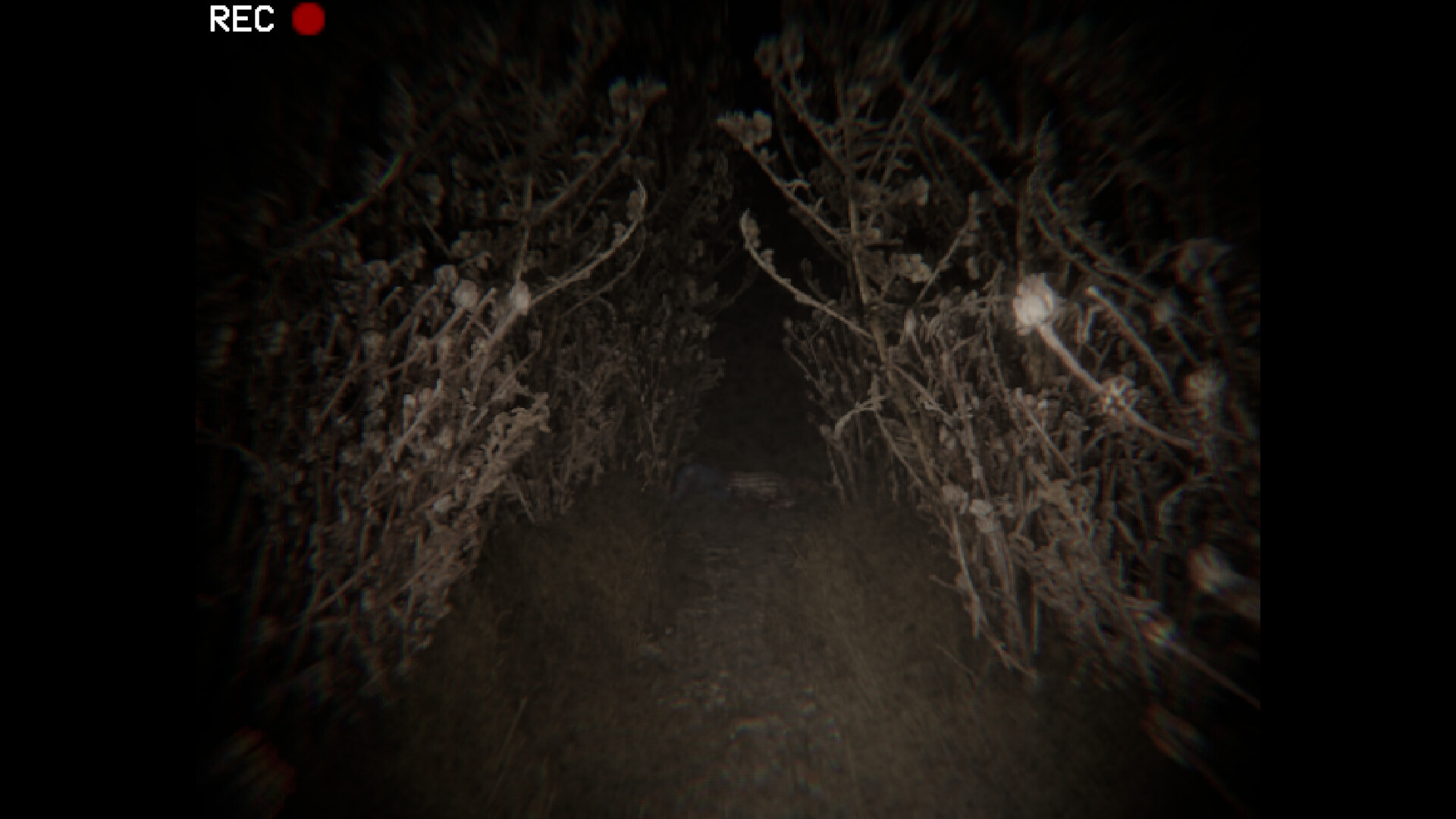 Dire screenshot 8